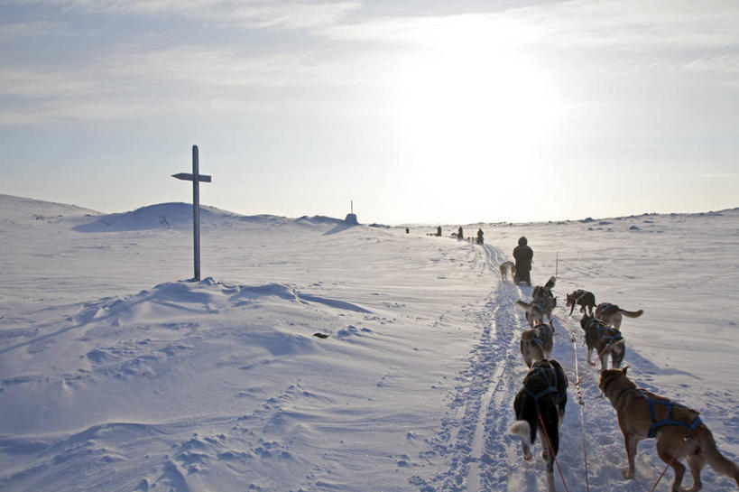 无人,同事,横图,室外,探险,旅途,成功,合作,团队,集体,信心,北极,雪,狗,挪威,天气,北,队伍,车队,寒冷,摄影,气象,领导,气候,斯堪的纳维亚,成就,雪橇犬,合伙,领袖,纯净,斯堪狄纳维亚半岛,彩图,旅行