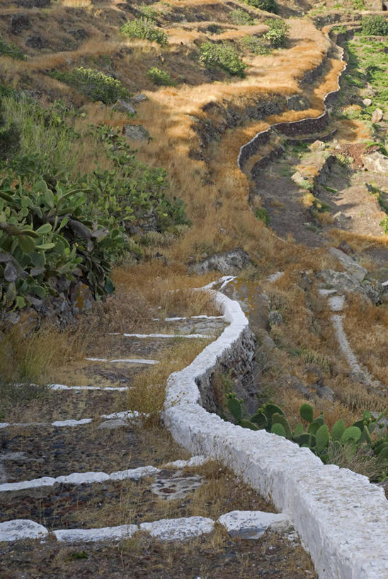 无人,教堂,竖图,火山,山,植物,仙人掌,希腊,欧洲,岛,台阶,风景,摄影,宗教,基克拉迪群岛,圣托里尼岛,地中海文化,希腊文化,希腊共和国,基克拉泽斯群岛,活火山,彩图