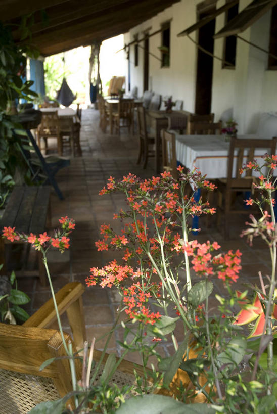 无人,竖图,旅游,度假,桌子,酒店,椅子,洪都拉斯,房屋,娱乐,花,享受,休闲,放松,摄影,生态,北美,北美洲,中美洲,拉丁美洲,美洲,北亚美利加洲,亚美利加洲,洪都拉斯共和国,科潘,科潘玛雅遗址,科潘遗址,休闲活动,彩图,旅行,门廊