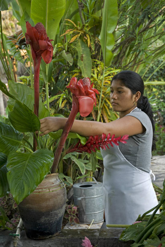 一个人,竖图,探险,尼泊尔,亚洲,吊挂,悬挂,桥,挂,摄影,喜马拉雅山脉,珠穆朗玛峰,冒险,彩图,旅行,门房,鲲鹏