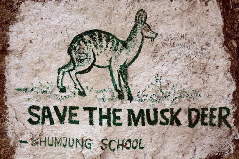 一个人,竖图,探险,尼泊尔,亚洲,吊挂,悬挂,桥,挂,摄影,喜马拉雅山脉,珠穆朗玛峰,冒险,彩图,旅行,门房,鲲鹏