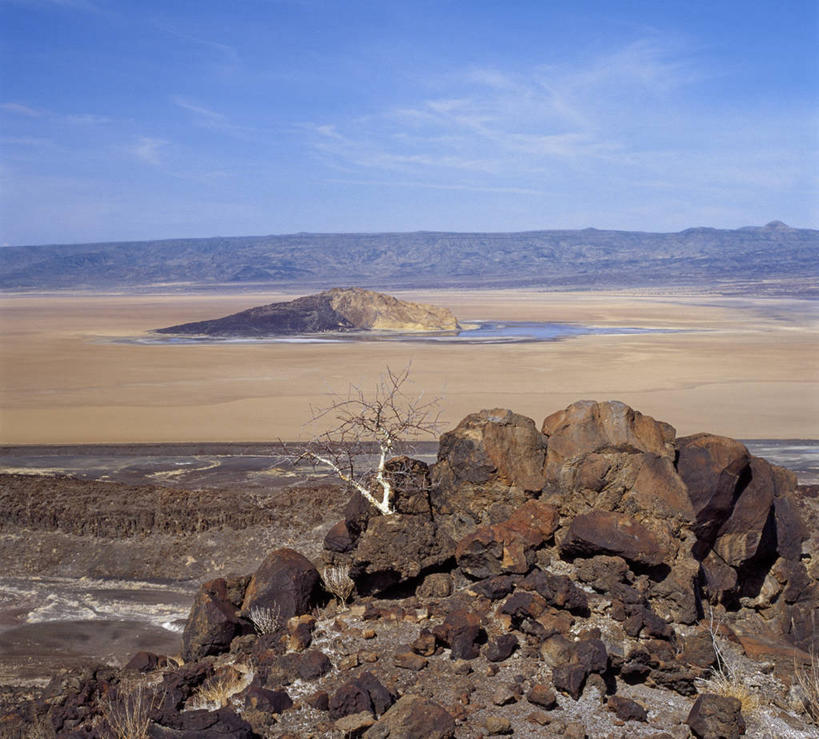 渔夫,竖图,室外,日出,非洲,肯尼亚,篮子,黎明,摄影,活动,柳条,彩图,钓鱼,传统文化