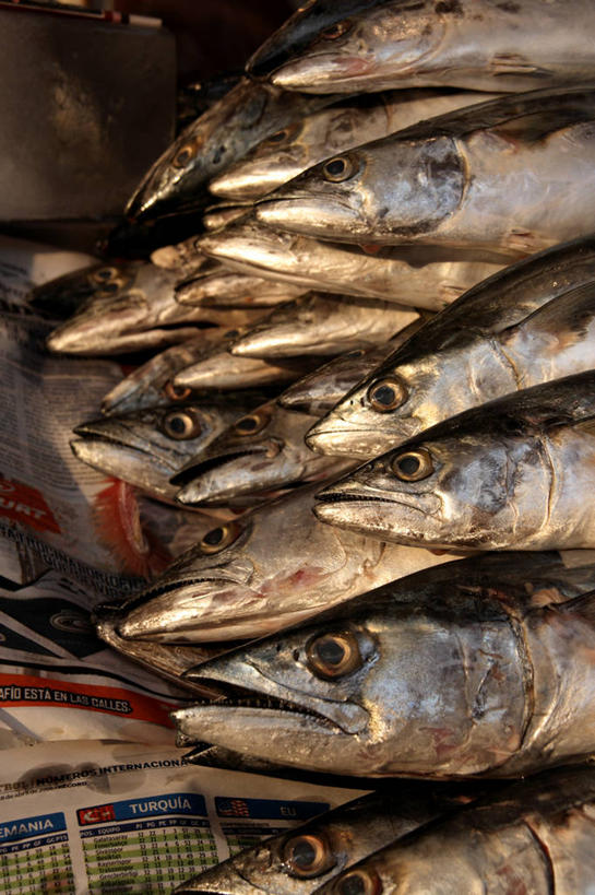 无人,竖图,渔业,报纸,墨西哥,食品,市场,首都,货摊,摄影,拉丁美洲,墨西哥城,海产,彩图