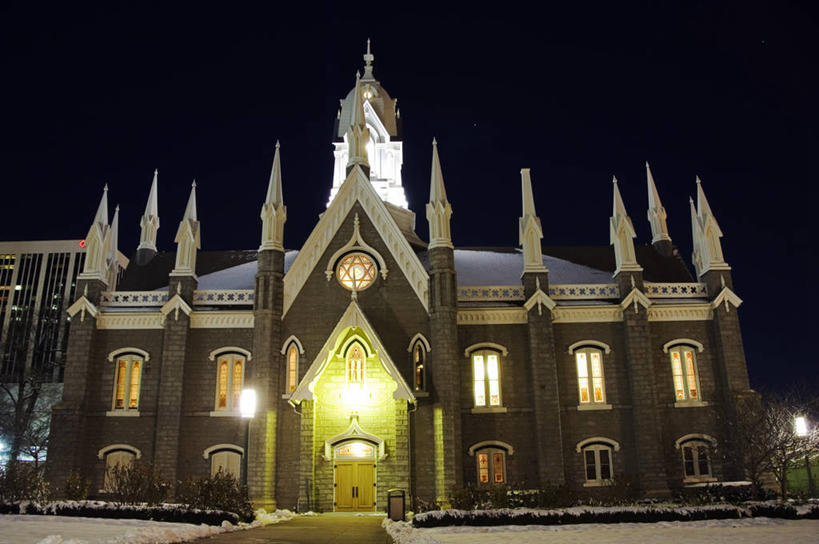 无人,竖图,野生动物,非洲,肯尼亚,摄影,东非,彩图,南非大鸨