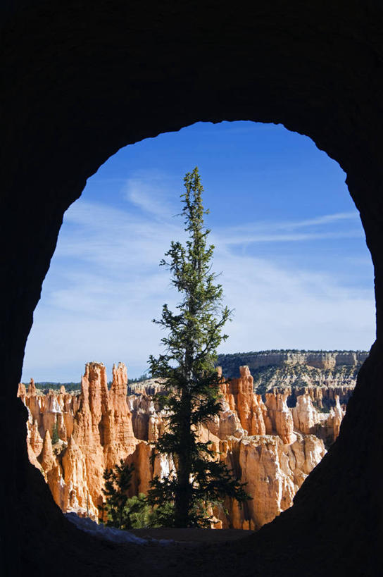 无人,横图,哺乳动物,野生动物,非洲,肯尼亚,动物,摄影,白犀牛,犀牛,彩图