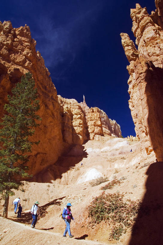 无人,横图,哺乳动物,野生动物,非洲,肯尼亚,昆虫,动物,摄影,小牛,益虫,白犀牛,犀牛,彩图