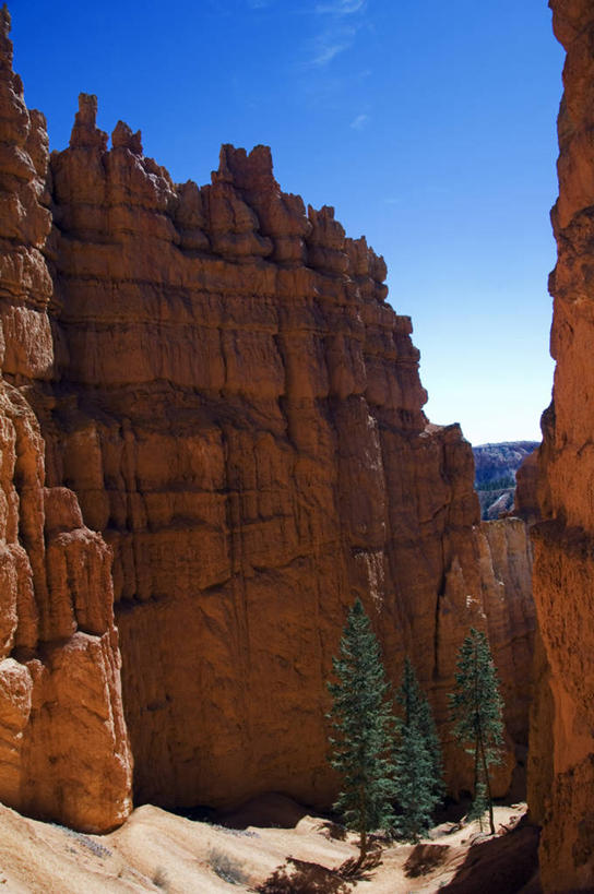 无人,横图,哺乳动物,野生动物,非洲,肯尼亚,昆虫,动物,摄影,小牛,益虫,白犀牛,犀牛,彩图