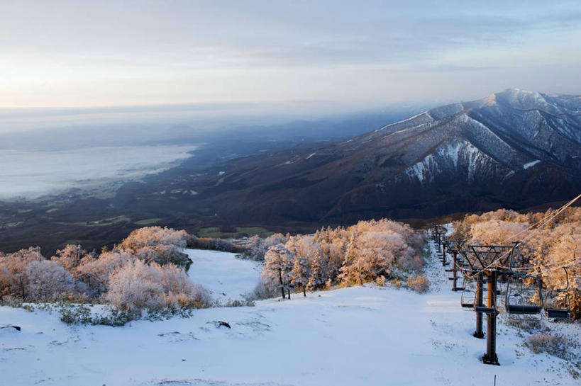 无人,横图,室外,日出,山,山脉,雪,日本,亚洲,地形,冬天,黎明,霜,树,粉色,白色,自然,滑雪场,寒冷,摄影,宁静,国家公园,岩手县,八幡平市,十和田,彩图