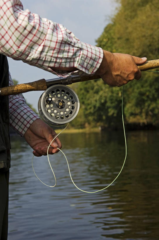 无人,竖图,室外,枫树,叶子,日本,亚洲,灯笼,地形,红色,自然,摄影,京都府,环境,东亚,本州,本州岛,日本国,近畿地方,近畿,秋天,彩图