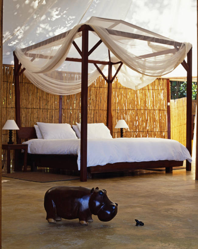 无人,竖图,度假,卧室,非洲,赞比亚,帐篷,摄影,灌木,高雅,华贵,彩图,柚木树