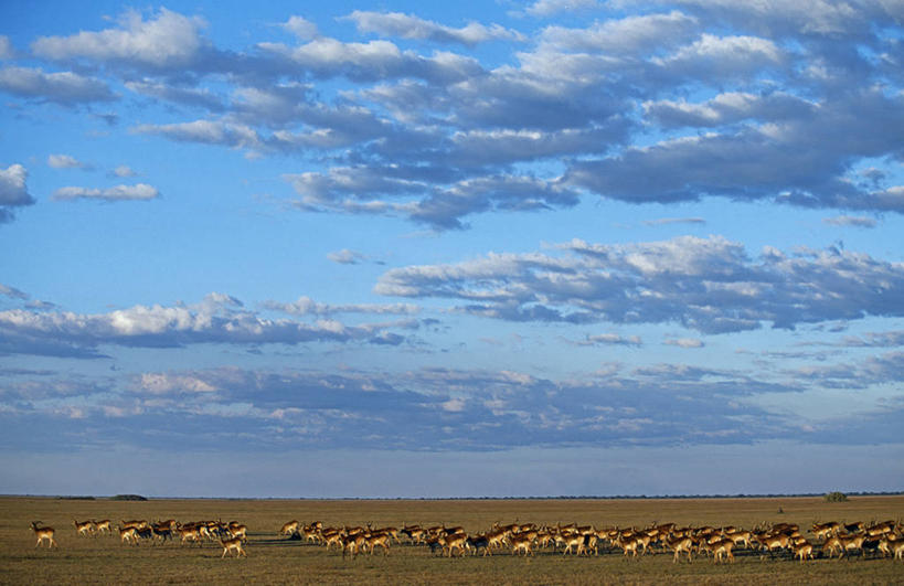 划船,一个人,渔夫,横图,室外,河流,水,船,非洲,赞比亚,杆,花,摄影,荡舟,彩图,钓鱼