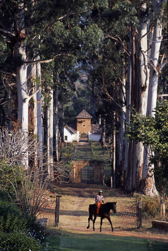儿童,横图,非洲,赞比亚,社区,摄影,拖拉机,蒸汽机车,彩图