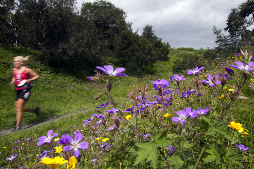 成年人,一个人,跑,横图,锻炼,仅一个女性,小路,花,运输,摄影,马拉松赛跑,冒险,女人,彩图,旅行,忍耐力