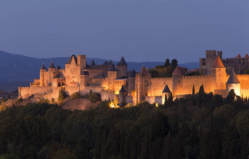 无人,竖图,室外,海洋,鹅,野生动物,羽毛,鸟类,自然,动物,大西洋,平衡,摄影,福克兰群岛,海狮岛,海滩,彩图,旅行,棕头草雁