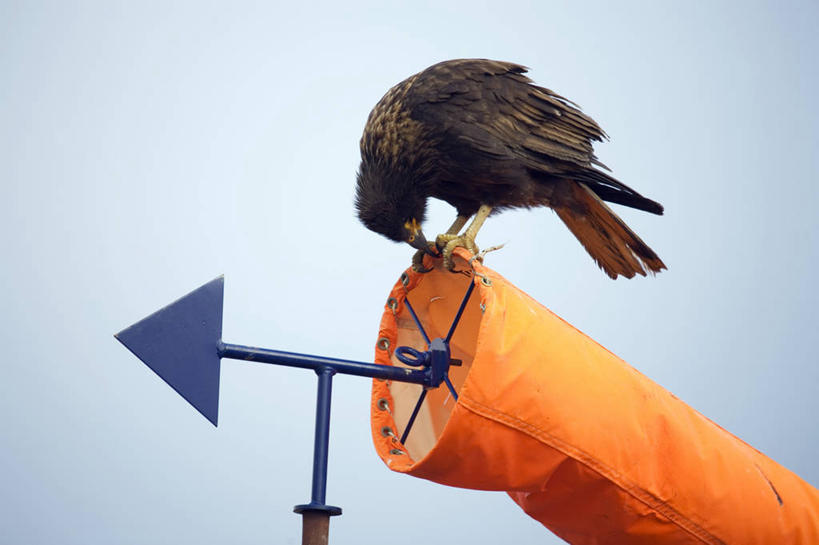 无人,横图,室外,美景,法国,欧洲,城堡,房屋,景观,乡村,塔,自然,景色,摄影,自然风光,法国文化,妖怪,多尔多涅,彩图