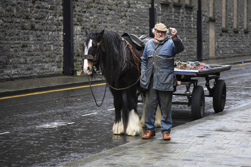 横图,射击,英国,英格兰,摄影,装货,约克郡,彩图