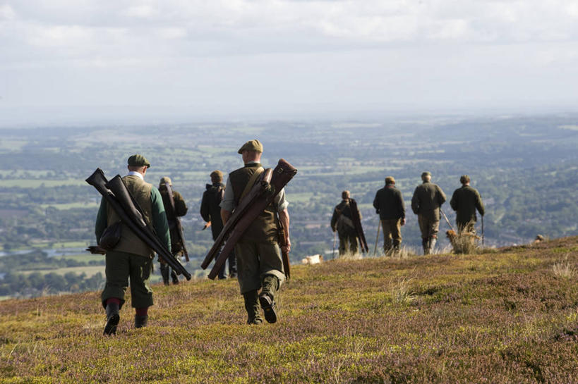 横图,射击,英国,英格兰,摄影,装货,约克郡,彩图