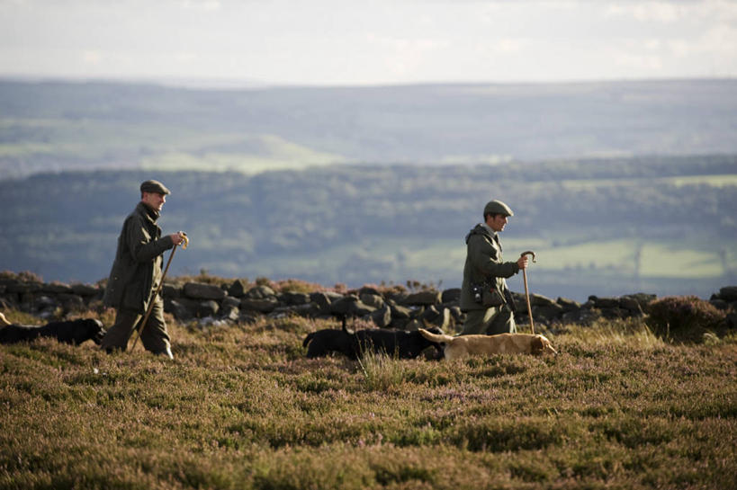 两个人,横图,射击,狗,英国,守门员,英格兰,摄影,拉布拉多犬,石南花,约克郡,彩图