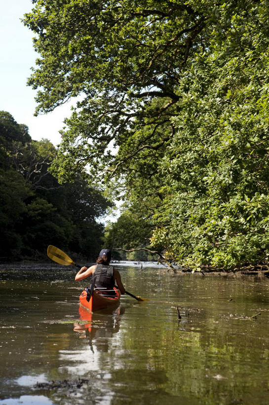 无人,横图,室外,英国,海岸线,英格兰,夏天,摄影,彩图,西南英格兰