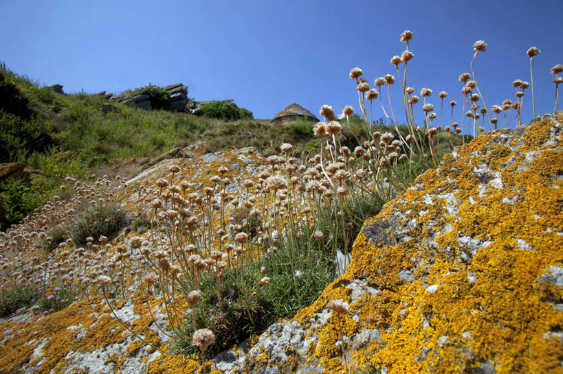 无人,横图,室外,烹饪,英国,岛,海岸线,料理,食品,菜肴,美食,英格兰,食物,夏天,摄影,佳肴,海滩,彩图,西南英格兰