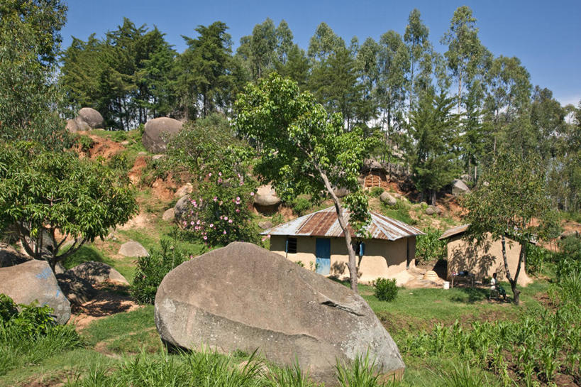 无人,横图,农业,农作物,玉米,非洲,肯尼亚,罗安达,房屋,首都,摄影,隐藏,住房,彩图,旅行,陨铁