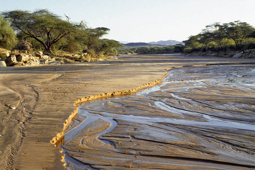 无人,横图,室外,河流,水,非洲,肯尼亚,沙子,摄影,金合欢树,彩图,旅行