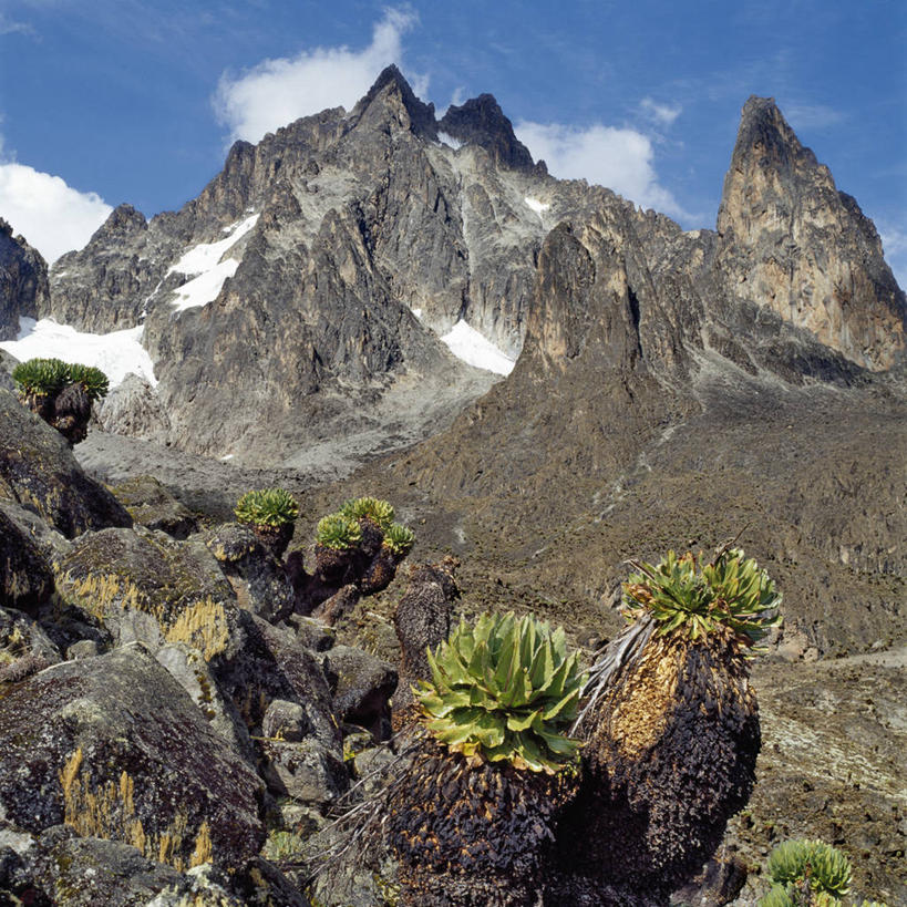 无人,横图,室外,山,水,白鹭,非洲,肯尼亚,反射,鸟类,自然,摄影,峭壁,彩图,旅行
