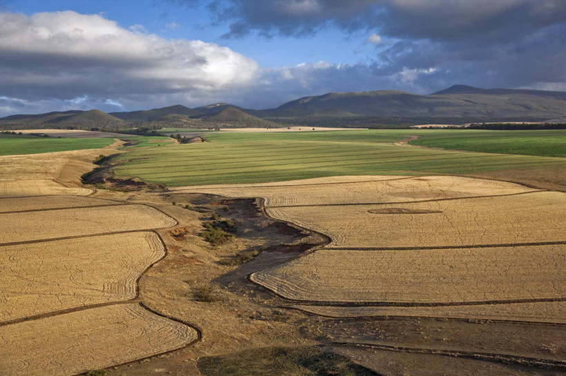成年人,横图,室外,山,山脉,自行车,非洲,肯尼亚,地形,田地,车,脚踏车,骑,交通工具,职业,骑车,摄影,载具,肯尼亚山,金合欢树,男人,彩图,旅行,精力