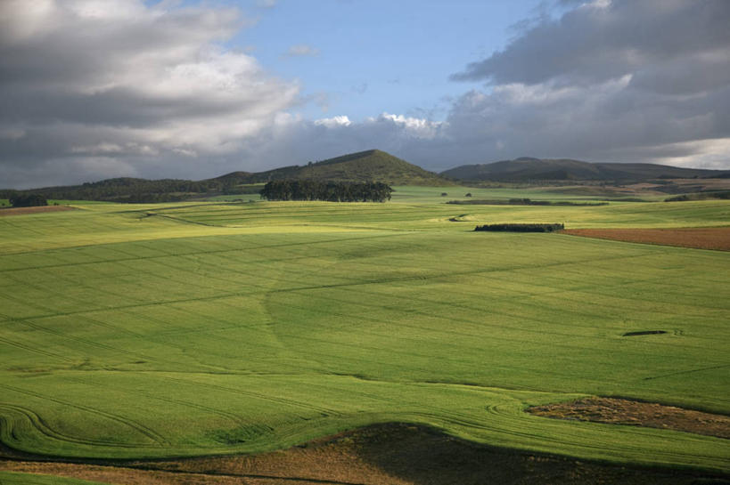 成年人,横图,室外,山,山脉,自行车,非洲,肯尼亚,地形,田地,车,脚踏车,骑,交通工具,职业,骑车,摄影,载具,肯尼亚山,金合欢树,男人,彩图,旅行,精力