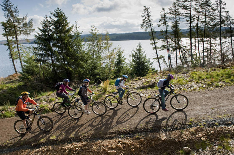 无人,菜园,横图,室外,蔬菜,英国,欧洲,地球仪,庭院,园艺,朝鲜蓟,食品,饮食,英格兰,摄影,彩图,旅行