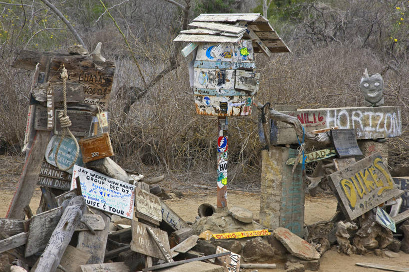 成年人,一个人,竖图,室外,旅游,森林,野生动物,厄瓜多尔,仅一个女性,行人,游客,游人,云,路人,旅客,花,树,拍照,自然,南美,摄影,拉丁美洲,拜访,加拉帕戈斯群岛,过客,月光花,女人,美国人,彩图,旅行