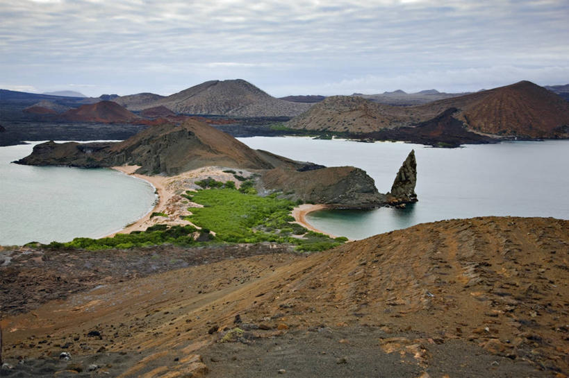 无人,横图,哺乳动物,海豹,野生动物,巴西,萨尔瓦多,厄瓜多尔,自然,动物,南美,摄影,观看,南美洲,拉丁美洲,美洲,巴西联邦共和国,首府,亚美利加洲,南亚美利加洲,巴伊亚,巴伊亚州,加拉帕戈斯群岛,海熊,美国人,彩图,旅行