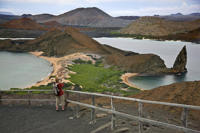 无人,横图,哺乳动物,海豹,野生动物,巴西,萨尔瓦多,厄瓜多尔,自然,动物,南美,摄影,观看,南美洲,拉丁美洲,美洲,巴西联邦共和国,首府,亚美利加洲,南亚美利加洲,巴伊亚,巴伊亚州,加拉帕戈斯群岛,海熊,美国人,彩图,旅行