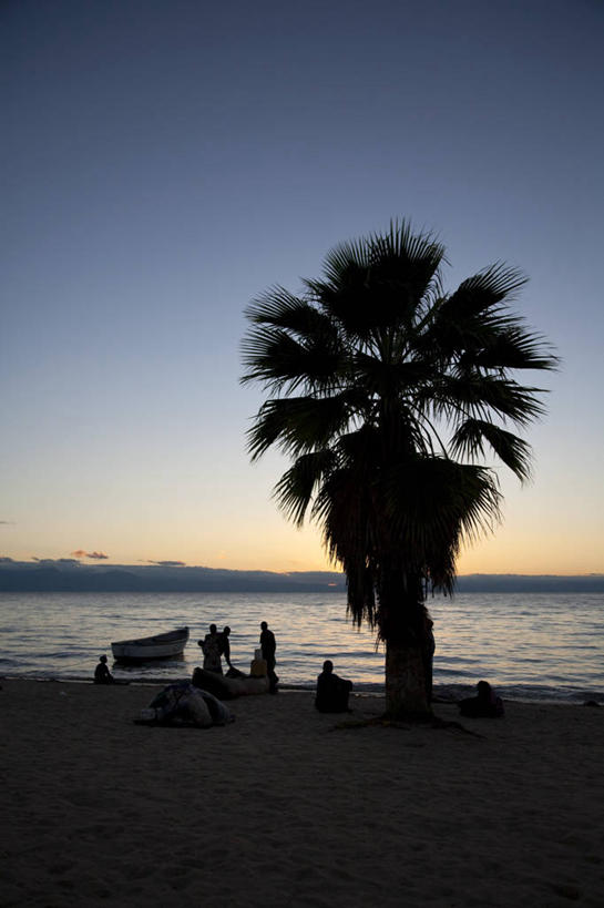 渔夫,竖图,室外,日出,湖,日落,棕榈树,非洲,马拉维,黎明,树,黄昏,摄影,剪影,马拉维湖,海滩,彩图,钓鱼,旅行,淡水