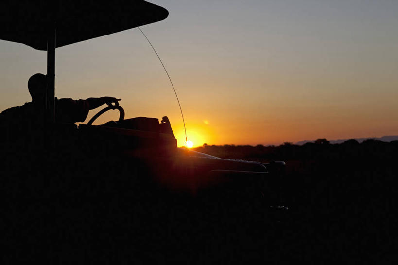 无人,竖图,室外,日出,河流,非洲,马拉维,鸟类,黎明,树,摄影,剪影,白朱鹭,朱鹭,彩图,旅行