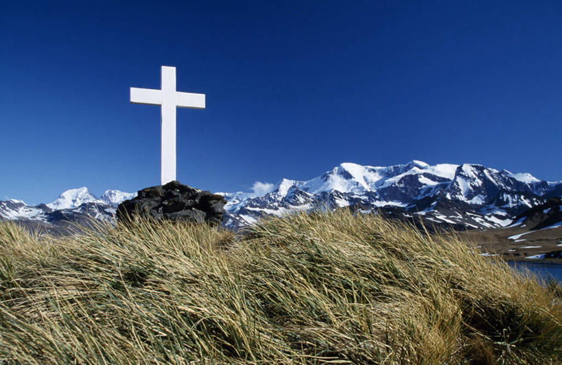 无人,横图,室外,山,山脉,雪,雪山,企鹅,野生动物,一群,许多,海湾,很多,邮轮,大西洋,摄影,巴布亚企鹅,南乔治亚岛,彩图