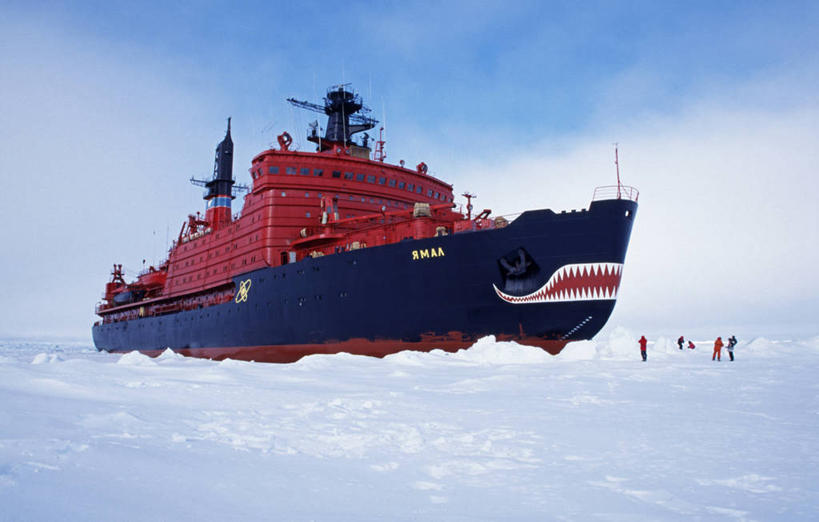 无人,横图,室外,海洋,水,塞舌尔,透明,珊瑚,岛,地标建筑,摄影,印度洋,珊瑚岛,潟湖,天堂镇,阿尔达布拉岛,海滩,群岛,彩图