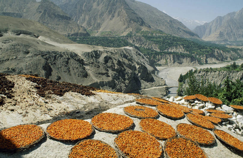 无人,横图,室外,山,山脉,巴基斯坦,亚洲,山顶,乡村,社区,摄影,中东,喜马拉雅山脉,印度次大陆,喀喇昆仑山,彩图,山景城,罕萨