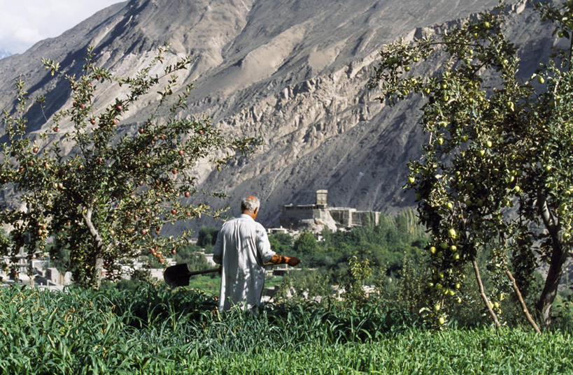 无人,横图,室外,农业,山,山脉,巴基斯坦,亚洲,悬崖,摄影,伊斯兰教,中东,比例,喜马拉雅山脉,灌溉设备,印度次大陆,喀喇昆仑山,彩图,罕萨