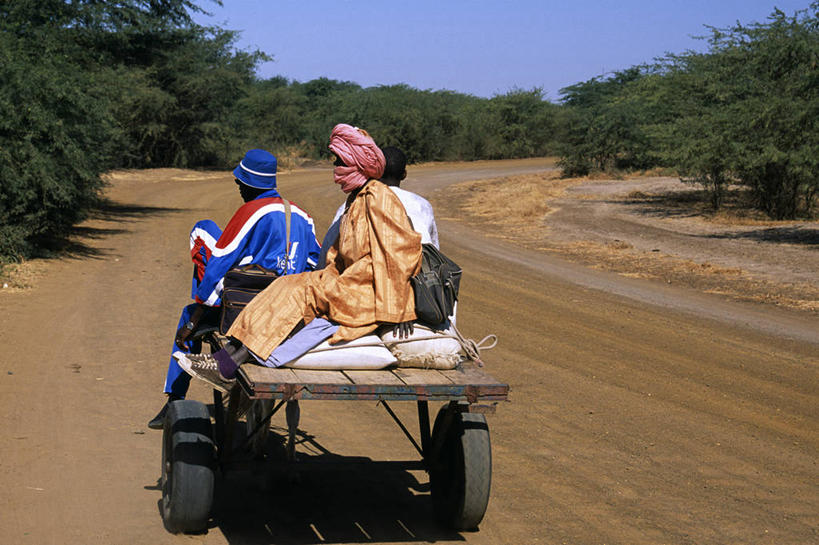 无人,宫殿,竖图,建筑,西班牙,欧洲,城堡,围墙,塔,城墙,力量,摄影,保护,要塞,阿尔卡萨城堡,塞戈维亚,彩图