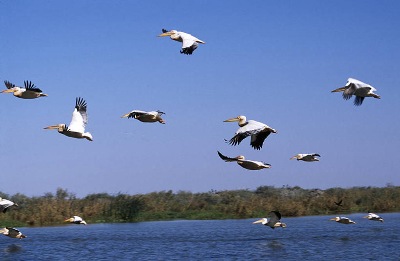 无人,宫殿,竖图,建筑,西班牙,欧洲,城堡,围墙,塔,城墙,力量,摄影,保护,要塞,阿尔卡萨城堡,塞戈维亚,彩图