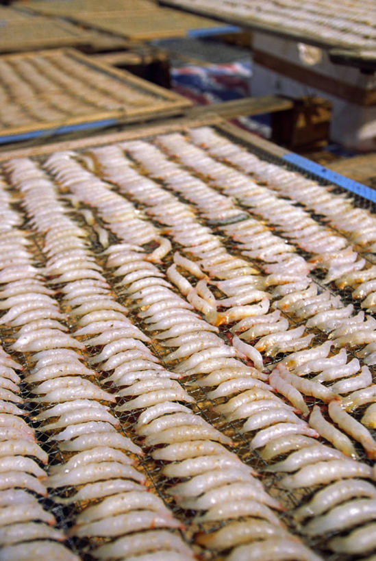 无人,横图,香港,亚洲,小贩,食品,小吃,饮食,快餐,摄影,迅速,中国文化,东亚文化,九龙,旺角,快餐车,海产,彩图,旅行,餐馆