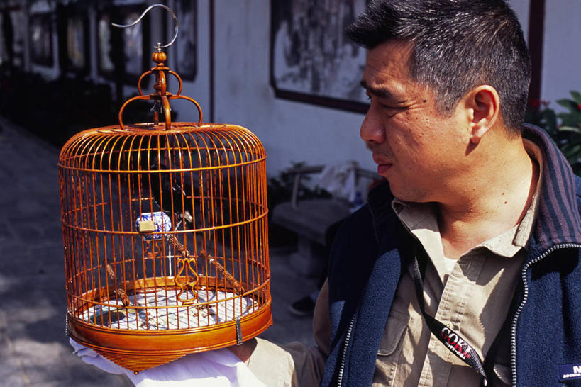 成年人,一个人,横图,街道,宠物,香港,亚洲,仅一个男性,鸟类,笼子,鸟笼,市场,顾客,社区,看,凝视,摄影,购买,九龙,旺角,饲养员,男人,彩图,旅行