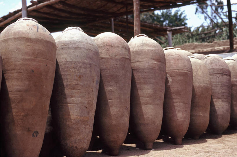 无人,横图,室外,农业,秘鲁,葡萄园,南美,摄影,发酵,伊卡,化学反应,彩图,旅行