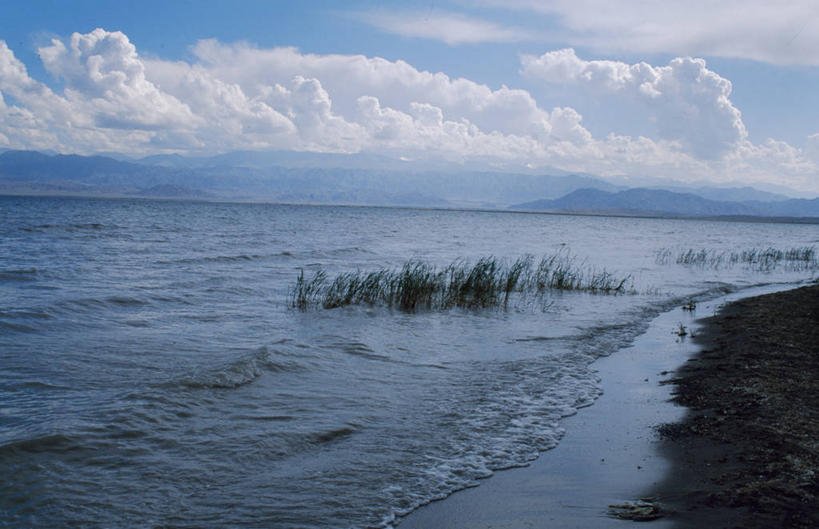 无人,寺庙,横图,建筑,老挝,亚洲,首都,佛塔,摄影,佛教,神殿,宗教建筑,万象,彩图