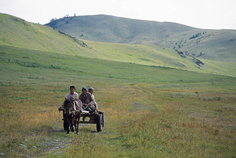 成年人,导游,横图,马,旗帜,蒙古,亚洲,山顶,社区,摄影,佛教,神殿,男人,岩石,彩图,游牧民族
