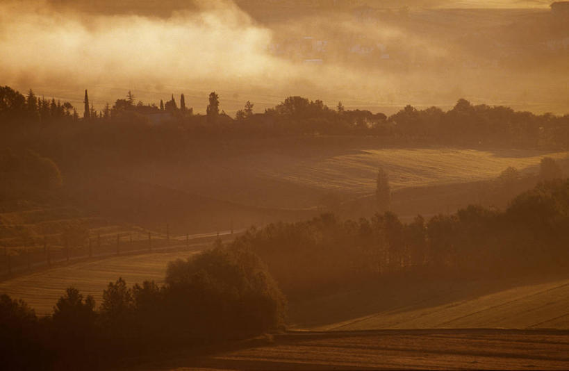无人,农场,横图,室外,农业,风,柏树,意大利,摩纳哥,欧洲,波纹,弯曲,地形,浪漫,树,摩纳哥公国,翻滚,摄影,建造,托斯卡纳区,蒙特卡洛,蒙地卡罗,彩图