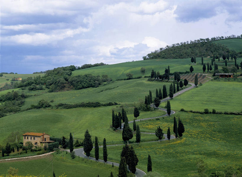 无人,农场,横图,室外,农业,风,柏树,意大利,摩纳哥,欧洲,波纹,弯曲,地形,浪漫,树,摩纳哥公国,翻滚,摄影,建造,托斯卡纳区,蒙特卡洛,蒙地卡罗,彩图