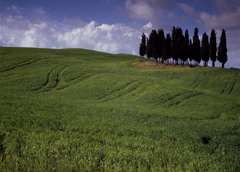 无人,横图,室外,意大利,欧洲,破碎,地形,城镇,破坏,破损,绿色,翻滚,摄影,粉碎,损坏,锡耶纳,要塞,毁坏,摧毁,彩图
