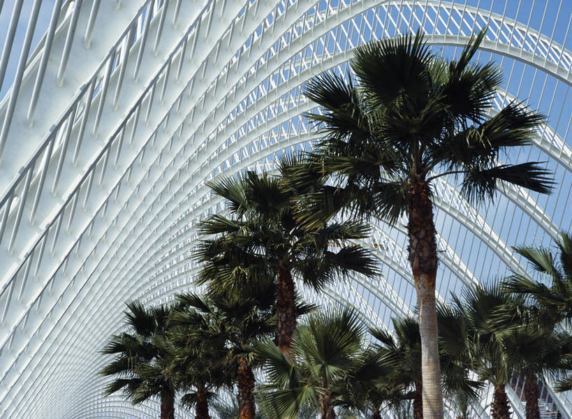 无人,竖图,时尚,水下,海洋,水,建筑,西班牙,欧洲,反射,科学,眼镜,光,教育,鱼类,刺激,水族馆,摄影,知识,巴伦西亚省,彩图,艺术科学城